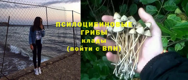 гидропоника Арсеньев