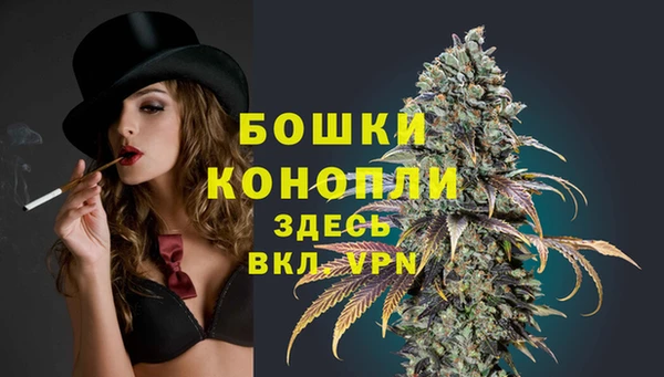 меф Няндома
